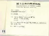 地星屬藏品圖，第2張
