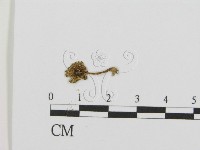 登錄號:F0013354藏品圖，第3張