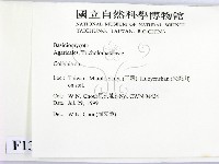 登錄號:F0013359藏品圖，第2張