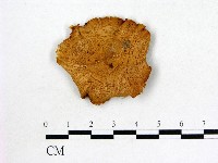 登錄號:F0013359藏品圖，第1張
