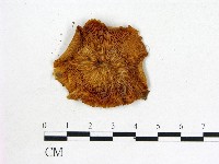 登錄號:F0013359藏品圖，第3張