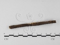 登錄號:F0013360藏品圖，第3張