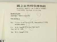 小皮傘屬藏品圖，第2張