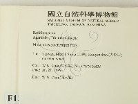 登錄號:F0013363藏品圖，第2張