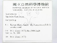 登錄號:F0013364藏品圖，第2張