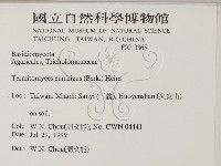 登錄號:F0013365藏品圖，第2張