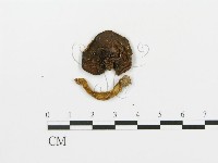 登錄號:F0013366藏品圖，第1張