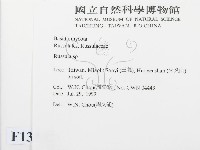 紅菇屬藏品圖，第2張