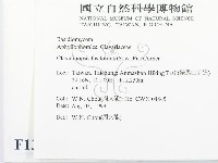 登錄號:F0013369藏品圖，第2張