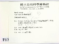 登錄號:F0013370藏品圖，第2張