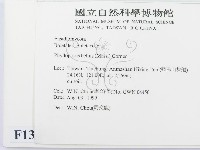 登錄號:F0013374藏品圖，第2張