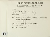 小菇屬藏品圖，第2張