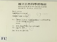 登錄號:F0013377藏品圖，第2張