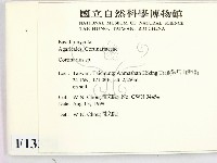 登錄號:F0013378藏品圖，第2張