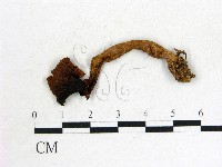 登錄號:F0013378藏品圖，第1張