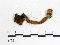 登錄號:F0013378藏品圖，第3張