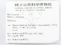 登錄號:F0013379藏品圖，第2張
