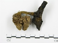 登錄號:F0013379藏品圖，第3張