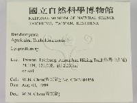 登錄號:F0013380藏品圖，第2張