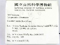 登錄號:F0013381藏品圖，第2張
