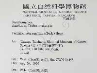 登錄號:F0013382藏品圖，第2張