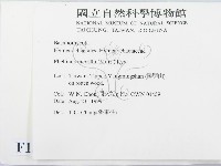 登錄號:F0013383藏品圖，第2張