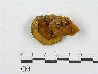 登錄號:F0013383藏品圖，第1張