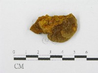 登錄號:F0013383藏品圖，第3張