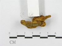 登錄號:F0013383藏品圖，第4張