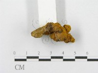 登錄號:F0013383藏品圖，第5張