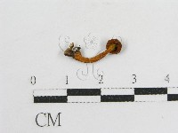 登錄號:F0013385藏品圖，第1張
