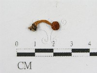 登錄號:F0013385藏品圖，第3張