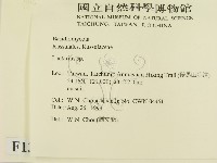 乳菇屬藏品圖，第2張