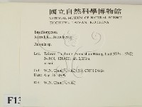 紅菇屬藏品圖，第2張