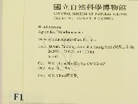 登錄號:F0013390藏品圖，第2張