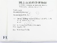登錄號:F0013395藏品圖，第2張