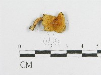 登錄號:F0013395藏品圖，第1張