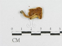 登錄號:F0013395藏品圖，第3張