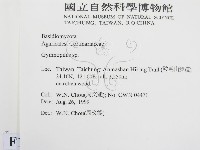 登錄號:F0013396藏品圖，第2張