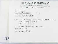 登錄號:F0013397藏品圖，第2張