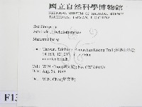 微皮傘屬藏品圖，第2張