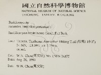 登錄號:F0013400藏品圖，第2張