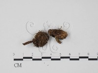 登錄號:F0013400藏品圖，第3張