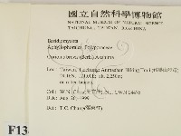 登錄號:F0013401藏品圖，第2張