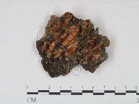 登錄號:F0013401藏品圖，第1張