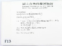 登錄號:F0013402藏品圖，第2張