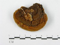 登錄號:F0013402藏品圖，第1張