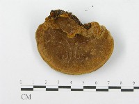 登錄號:F0013402藏品圖，第3張