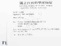 登錄號:F0013403藏品圖，第2張