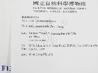 登錄號:F0013404藏品圖，第2張
